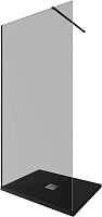 Душевая перегородка Allen Brau Infinity 100х200 см 3.21016.BBA.T черная браш тонированная