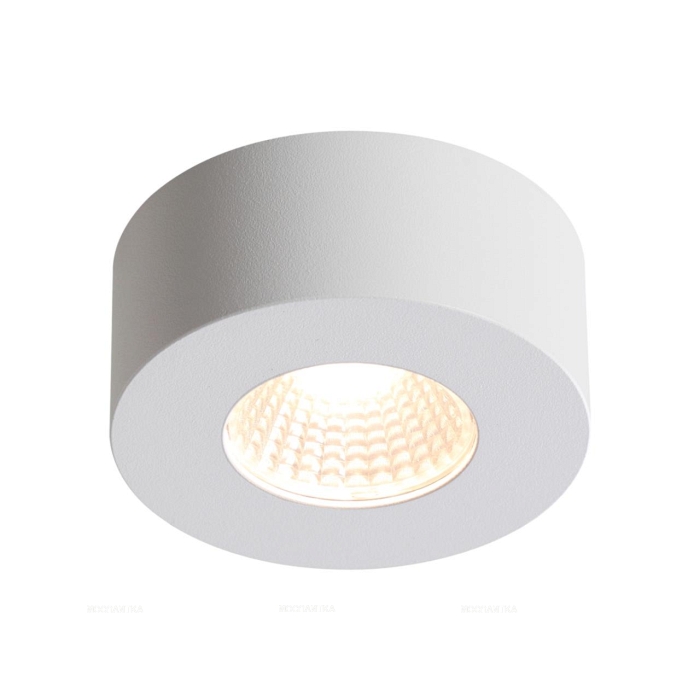 Потолочный светодиодный светильник Odeon Light Bene 4282/7СL - 4 изображение
